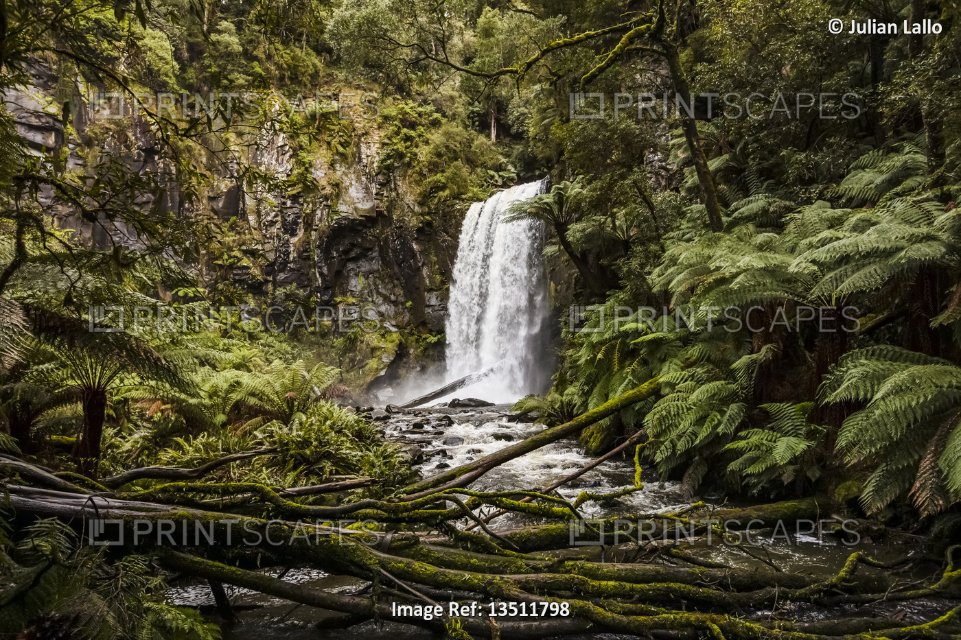 Hopetoun Falls; Beech Forest, Victoria, Australia