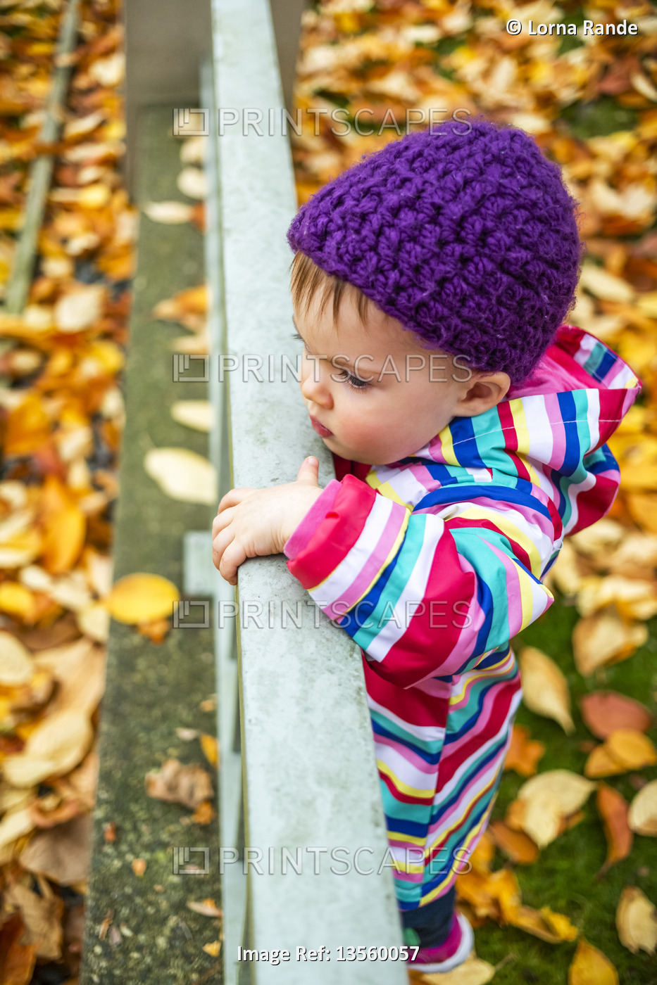 A toddler girl standing outside with leaf litter on the ground, looking over a ...