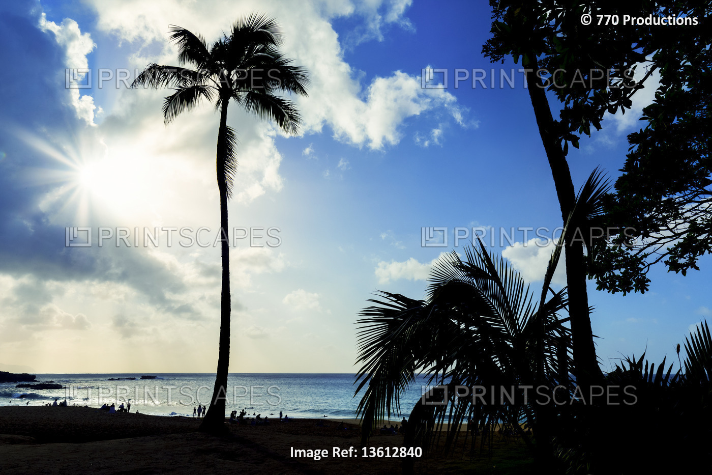Silhouettes of palm trees and people at Waimea Bay Beach Park at sunset; Oahu, ...