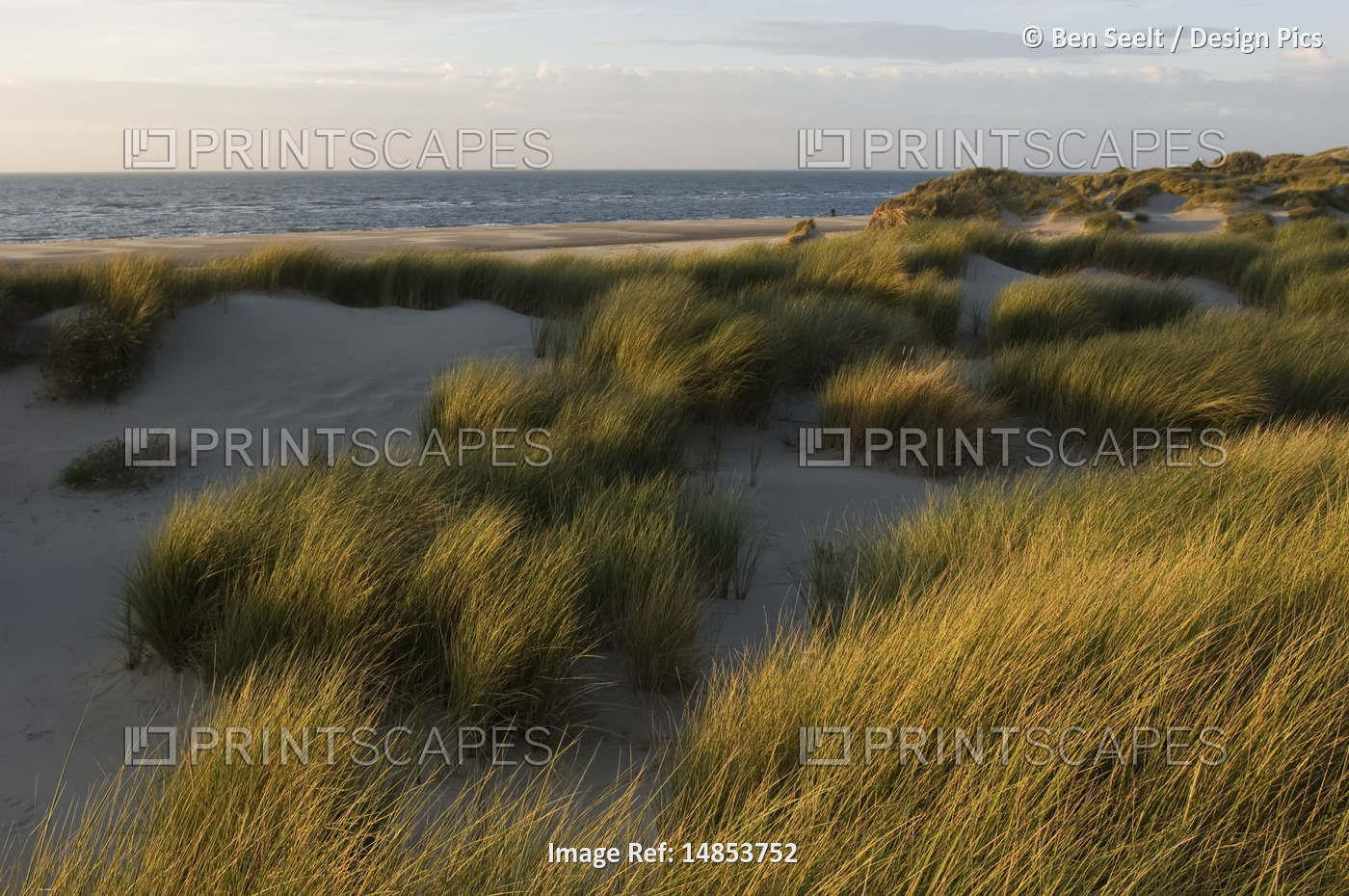 Beach, Zeeland, Netherlands