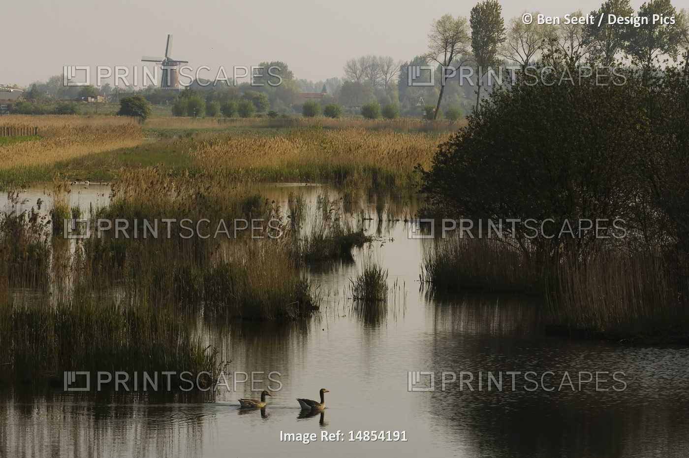Overview of Creek and Field, 's Gravenpolder, Zeeland, Netherlands