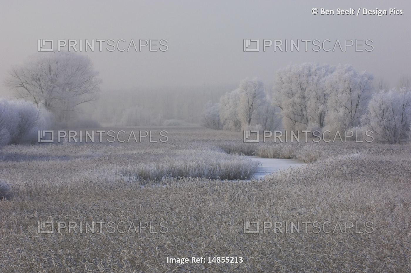 Frost-Covered Landscape, 's Gravenpolder, Zeeland, Netherlands