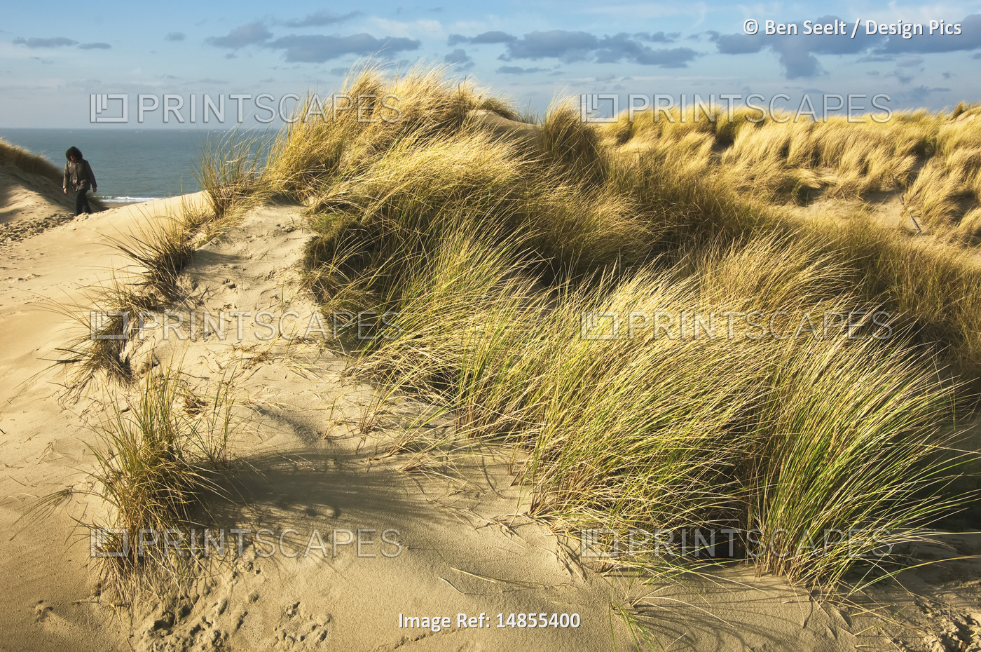 Woman Walking on Dunes, Haamstede, Zeeland, Netherlands