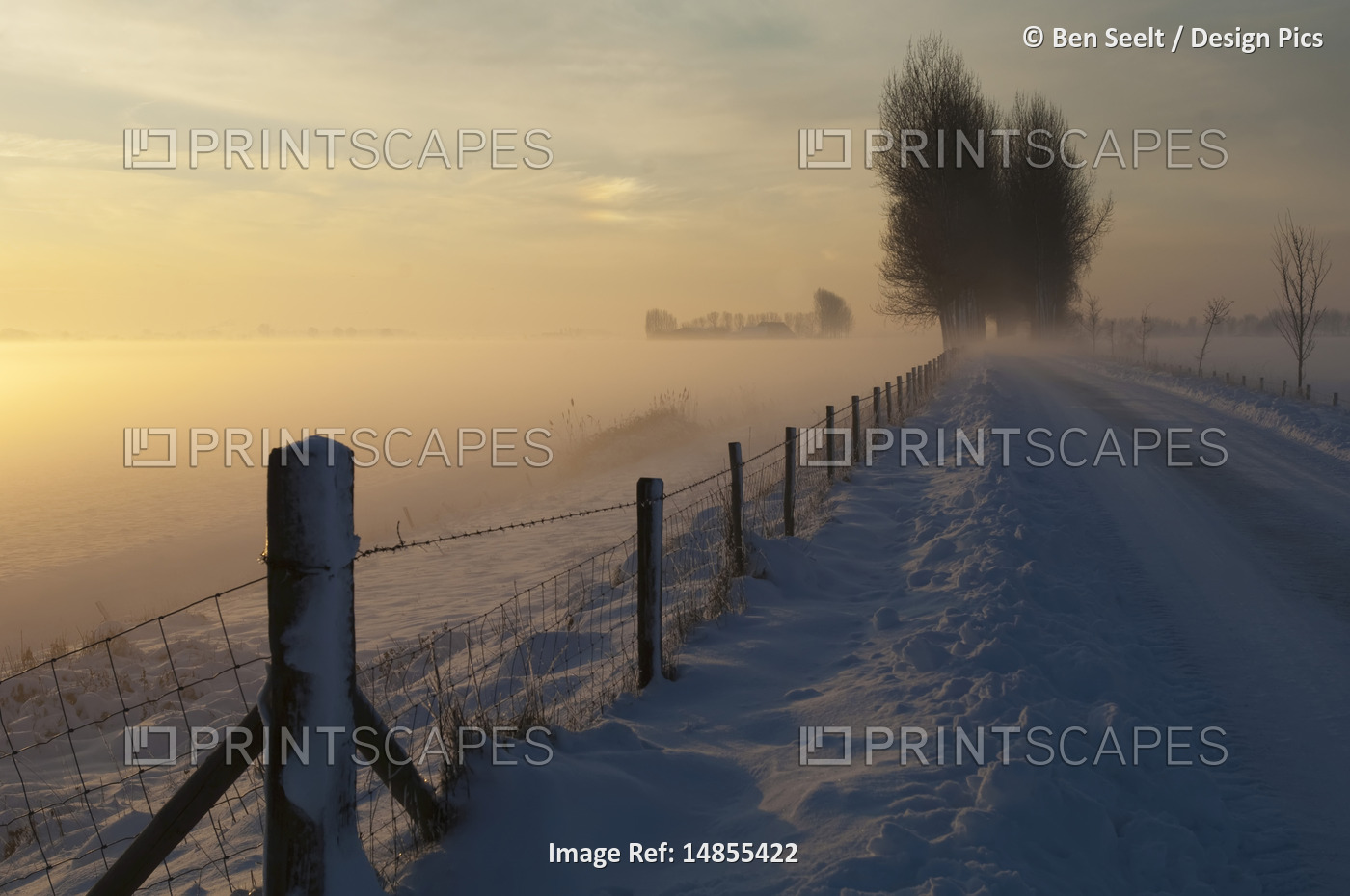 Country Road in Winter, Wolphaartsdijk, Zeeland, Netherlands