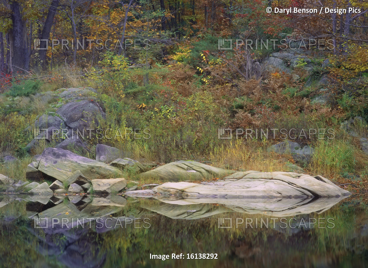Reflections of Foliage on Water In Autumn, Near Parry Sound, Ontario, Canada