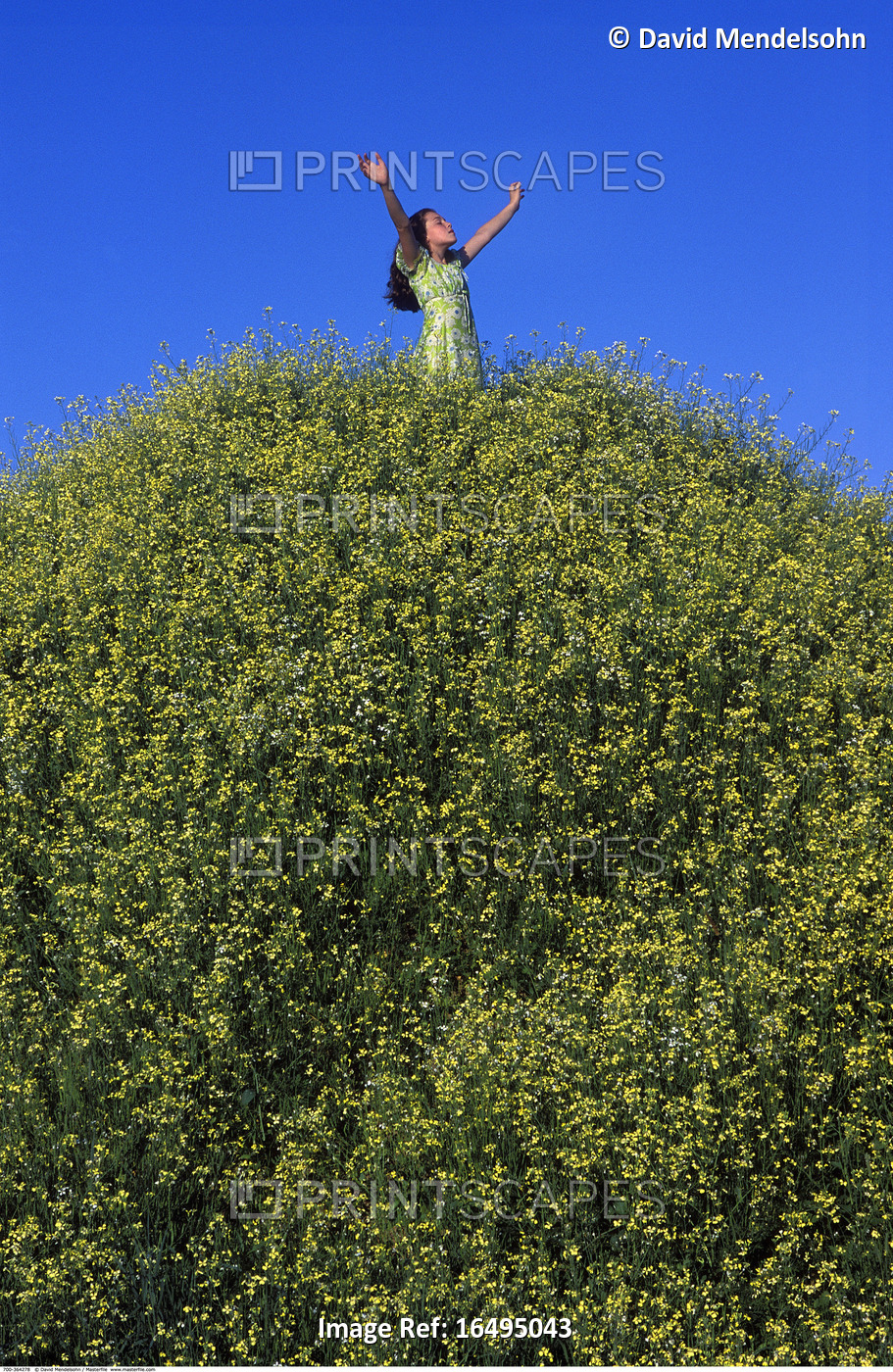 Woman at the Top of Hill