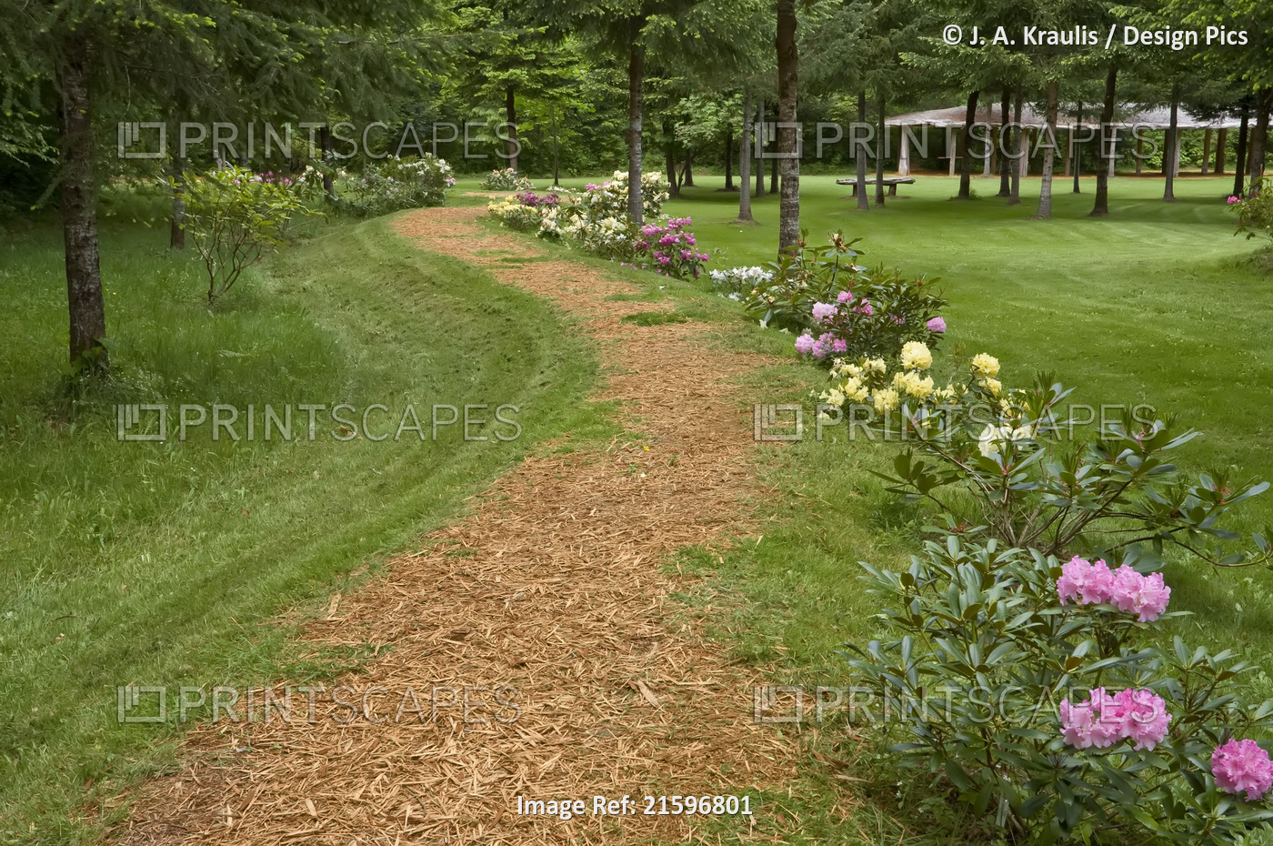 Garden Path, Kitty Coleman Woodland Gardens, Courtenay, British Columbia, Canada