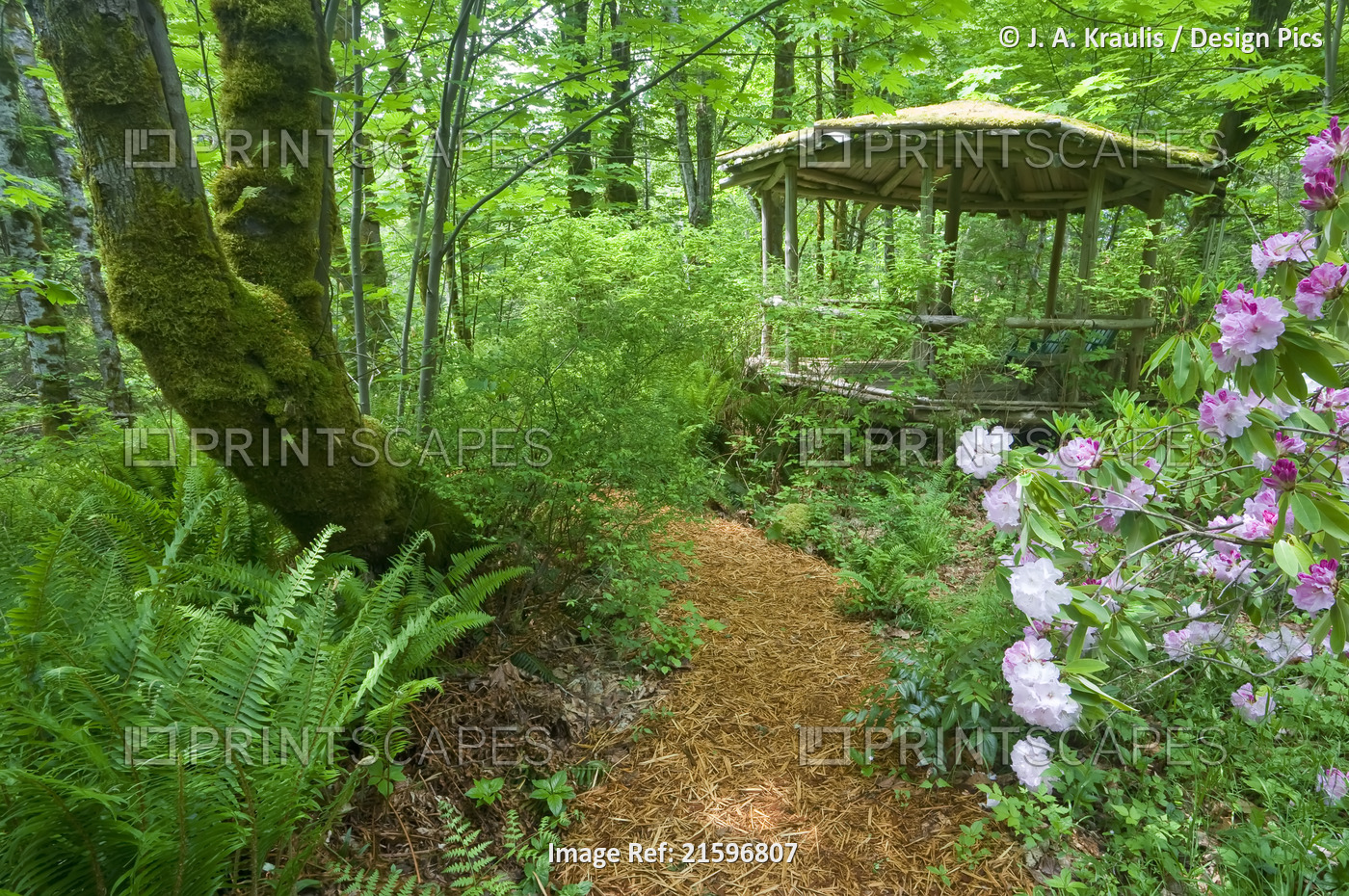 Gazebo and Path, Kitty Coleman Woodland Gardens, Courtenay, British Columbia, ...