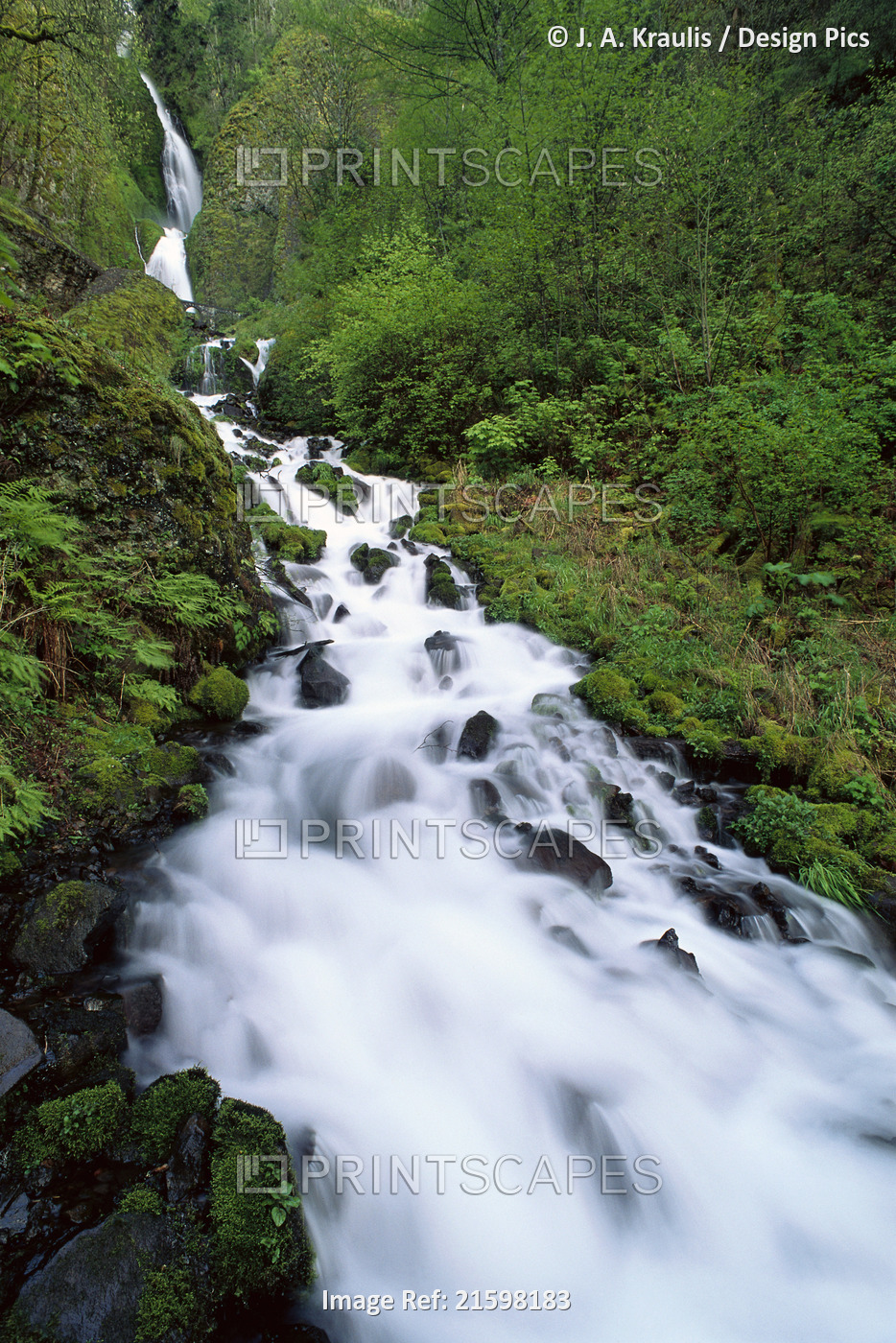 Wahkeena Falls Columbia Gorge, Oregon, USA