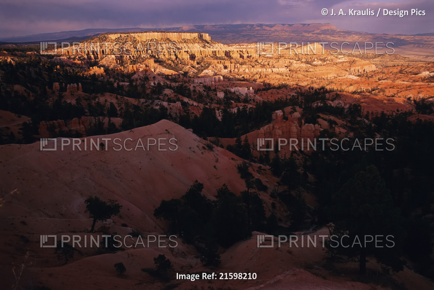 Bryce Canyon National Park Utah, USA