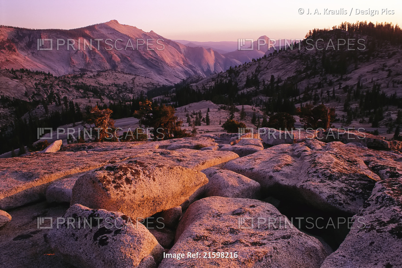 Yosemite National Park California, USA