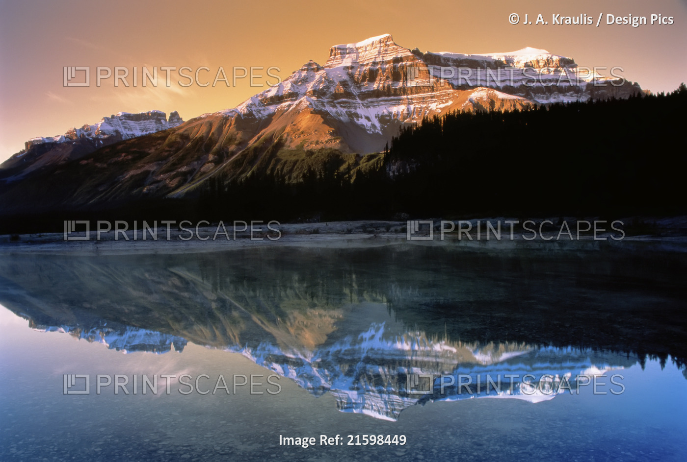 Mount Amery, North Saskatchewan River Flats, Banff National Park Canada