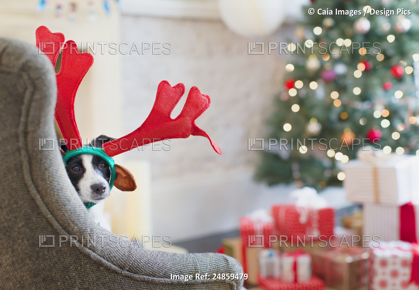Portrait dog wearing reindeer antlers near Christmas tree