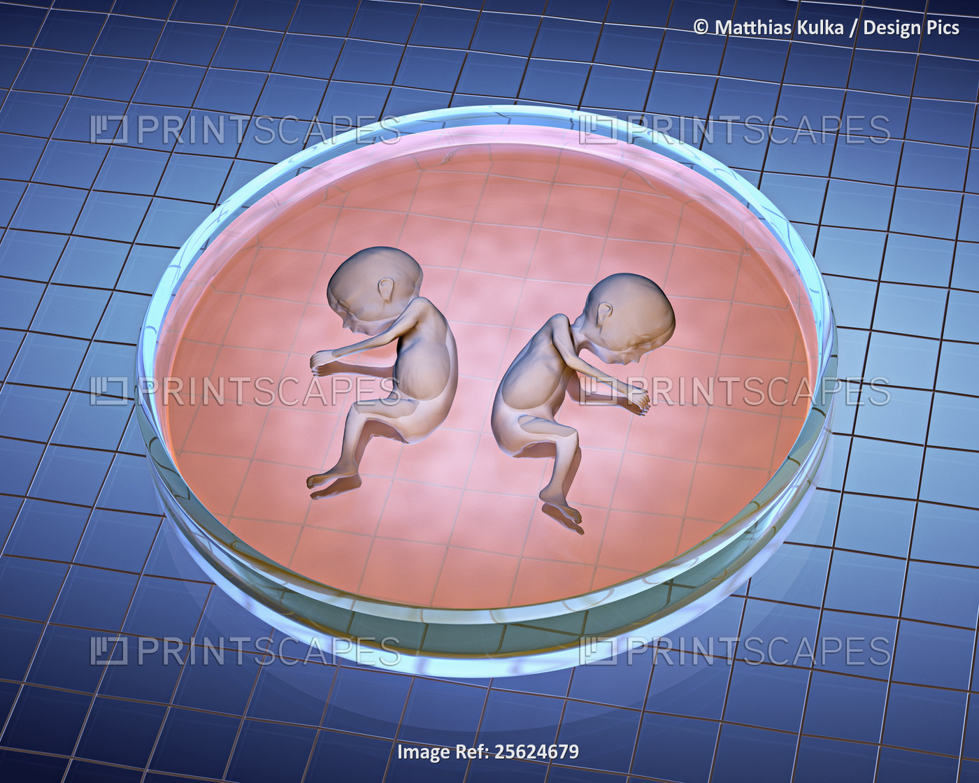 Illustration of Babies in Petrie Dish