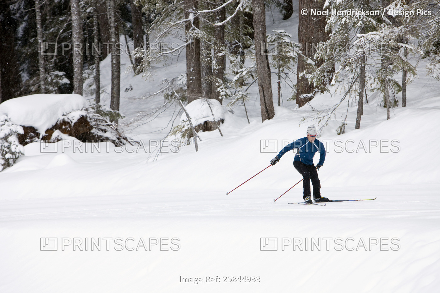 Man Cross Country Skiing, Whistler, British Columbia, Canada