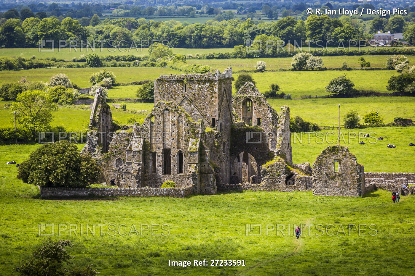 Hore Abbey, a ruined Cistercian monastery near the Rock of Cashel, Cashel, ...