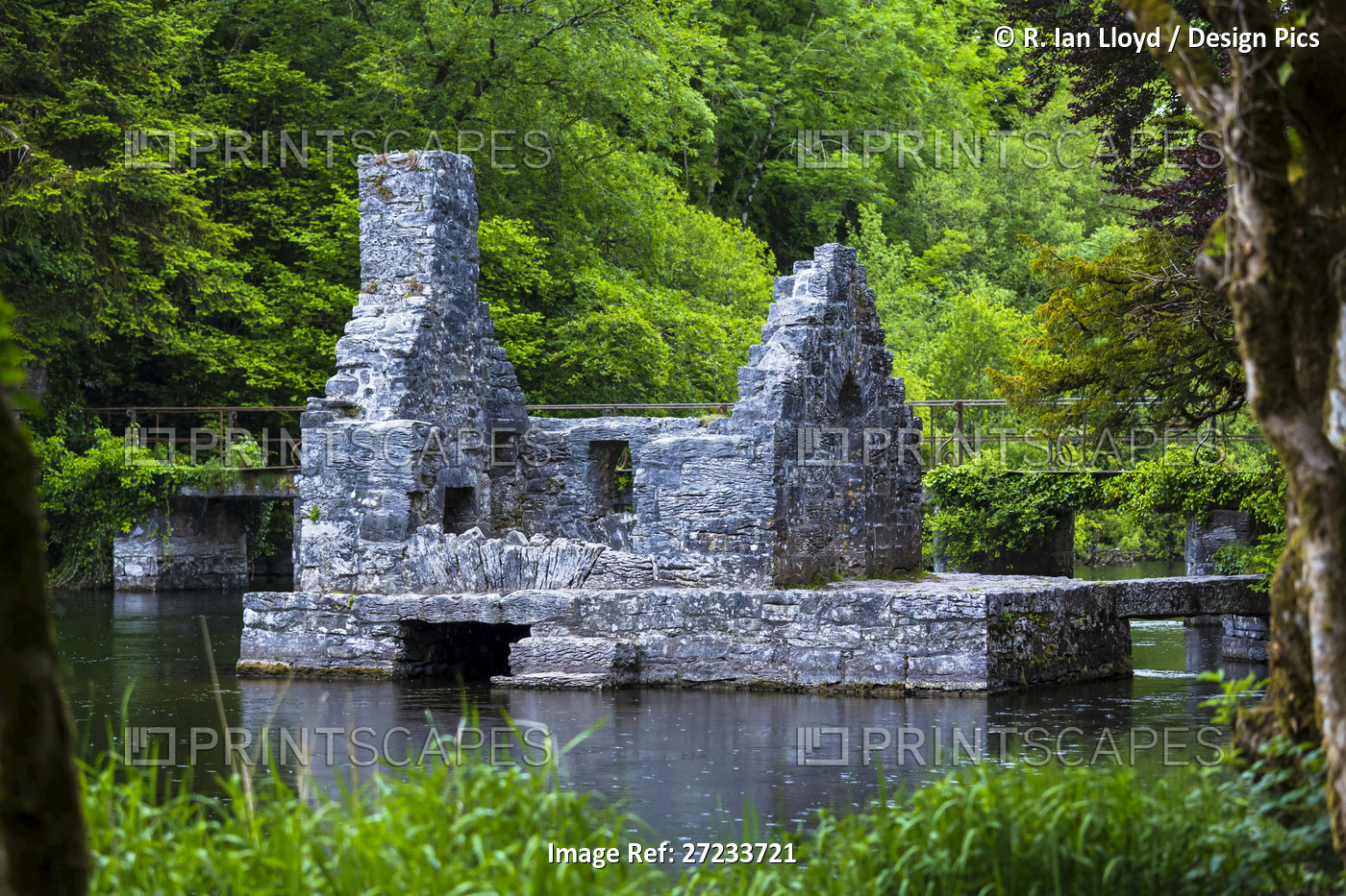 Ruins of The Monks's Fishing House, Cong Abbey, Cong, County Mayo, Ireland
