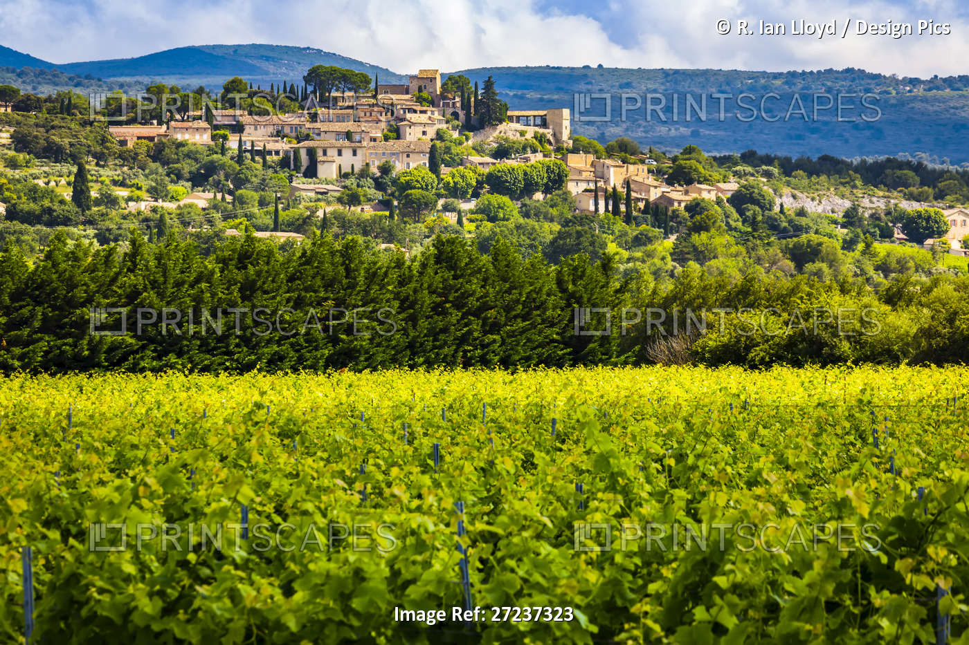 Luberon Valley, Provence-Alpes-Cote d'Azur, Provence, France.