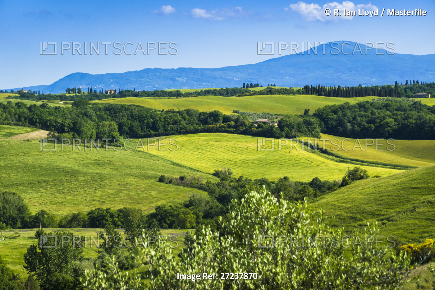 Farming country near San Giovanni D'Asso, Tuscany, Italy.