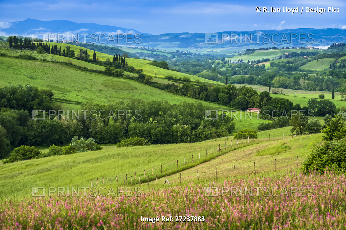 Farming country near San Giovanni D'Asso, Tuscany, Italy.