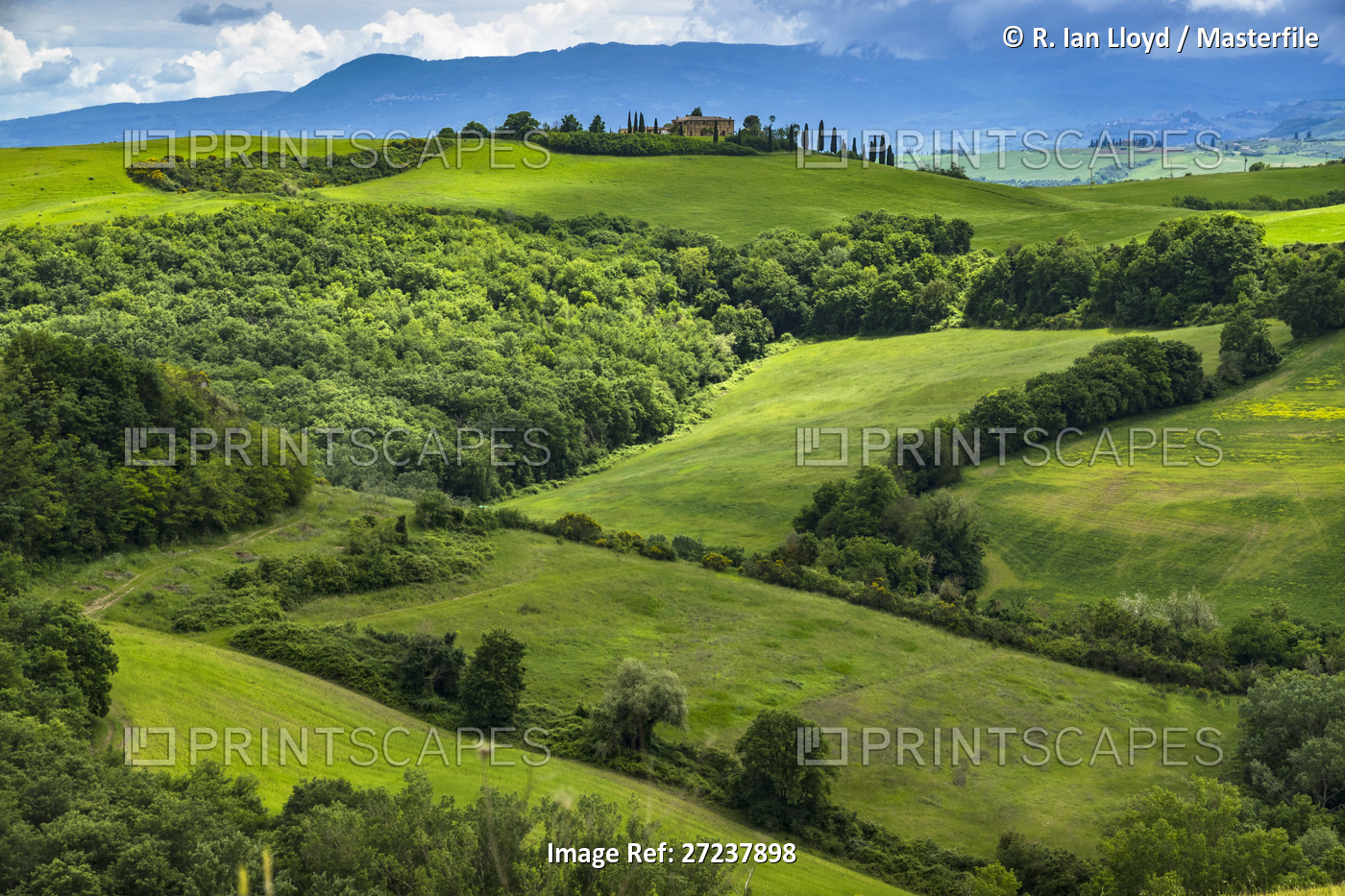 Scenic overview of farmland in Tuscany, Italy.