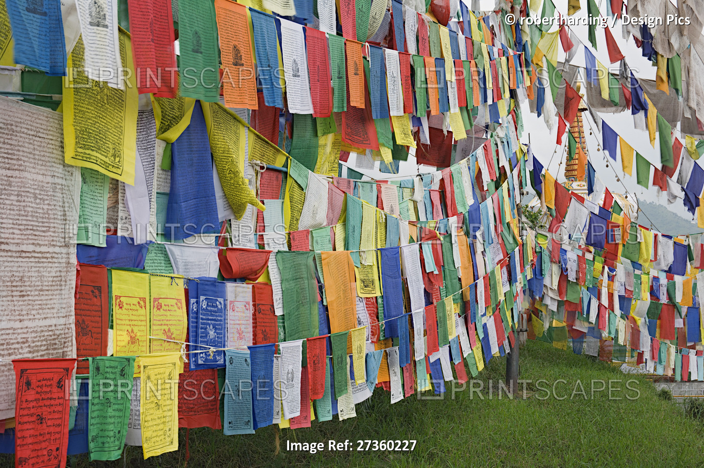 Buddhist prayer flags, McLeod Ganj, Dharamsala, Himachal Pradesh state, India, ...