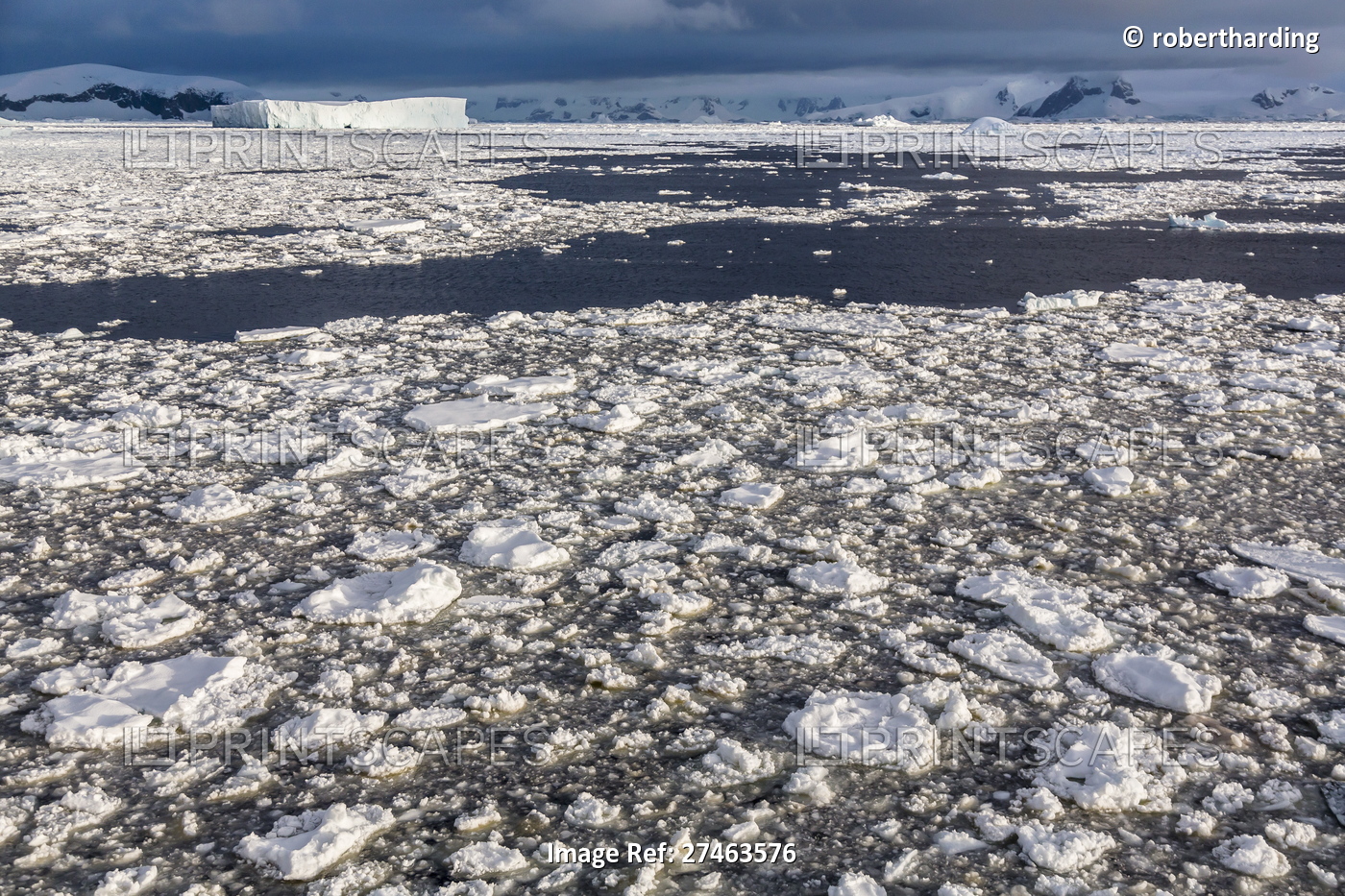 First year sea ice and brash ice near Petermann Island, western side of the ...
