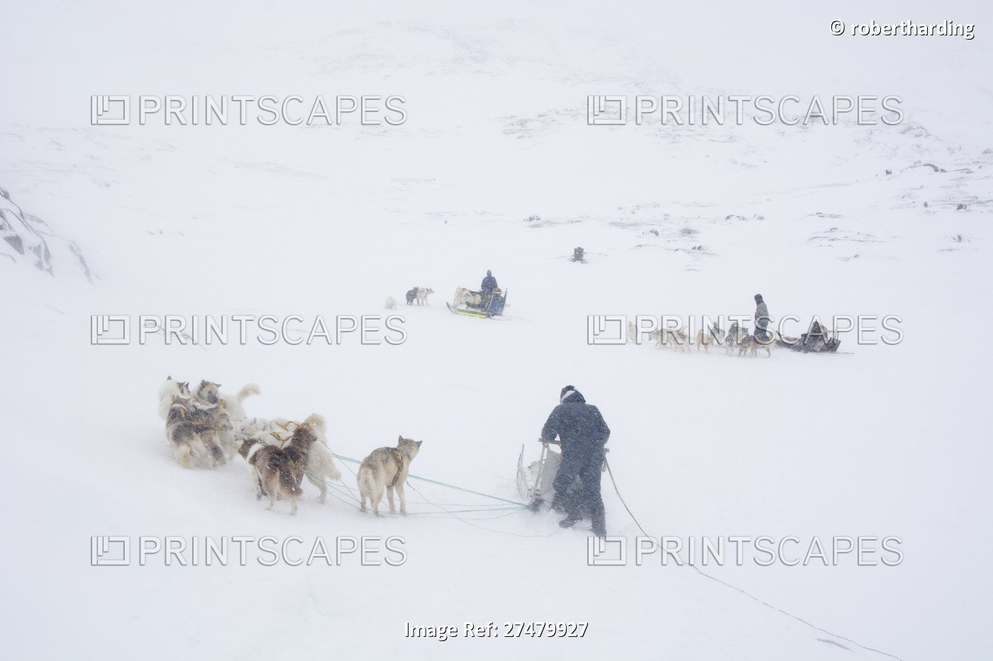 Dog sledge, Greenland, Denmark, Polar Regions