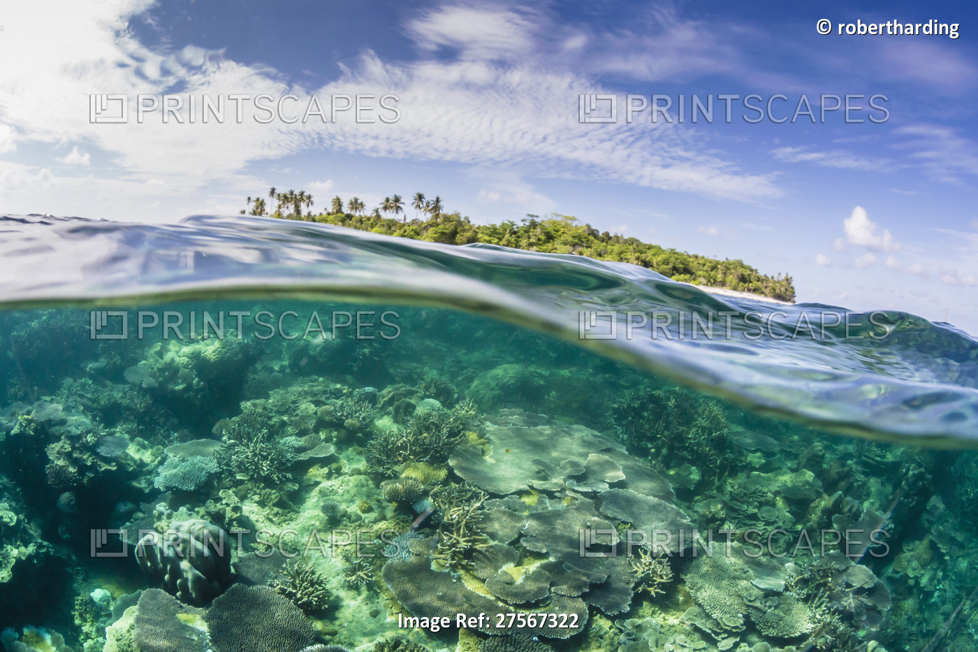 Half above and half below on a remote small Islet in the Badas Island Group off ...