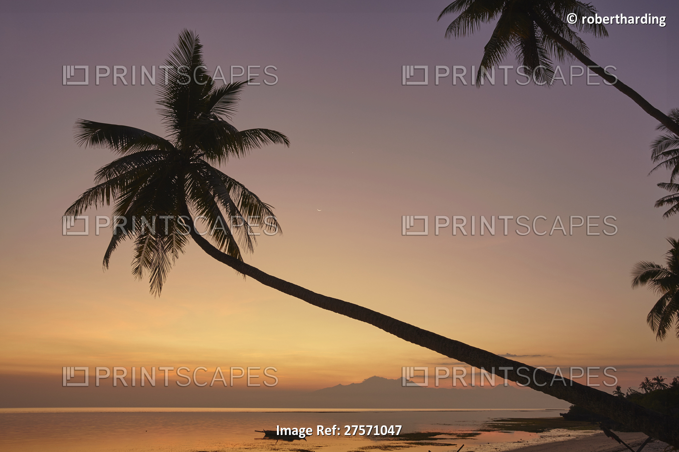 A dusk silhouette of coconut palms at Paliton beach, Siquijor, Philippines, ...