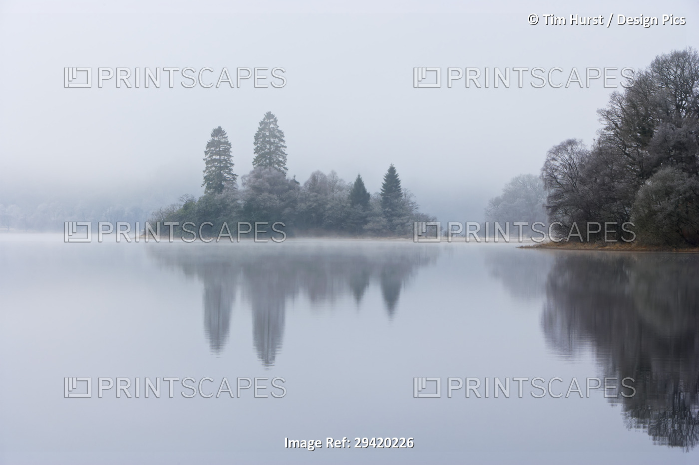 Island, Loch Achray, Trossachs, Stirling, Scotland, United Kingdom