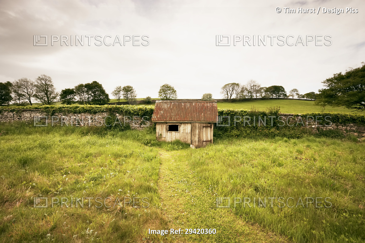 Path Leading to Garden Shed by Stone Wall, Dumfries & Galloway, Scotland, ...