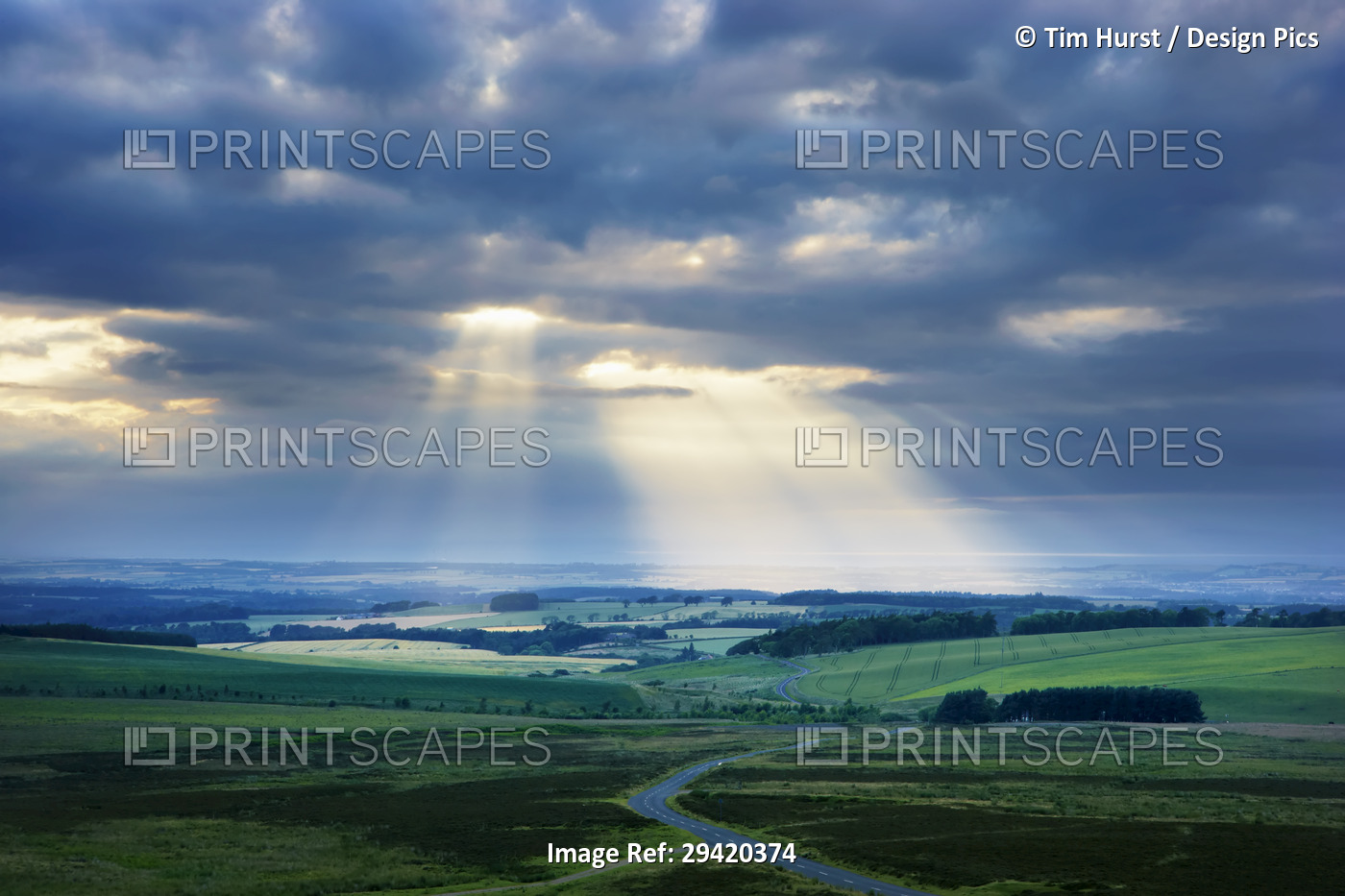 Rural Landscape, Lammermuir Hills, East Lothian, Scotland
