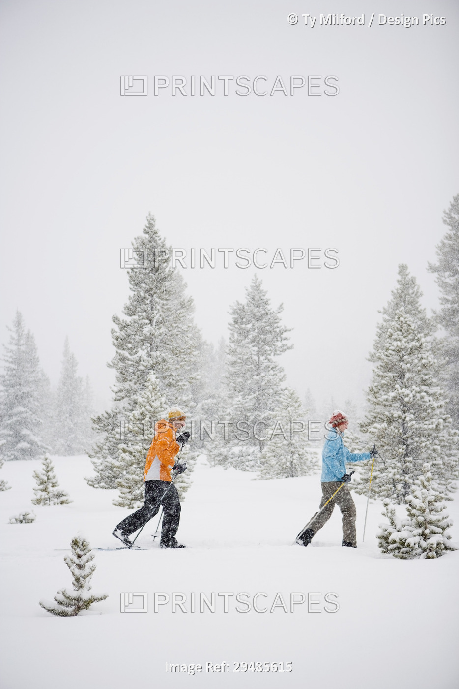 Couple Cross Country Skiing, Breckenridge, Colorado, USA