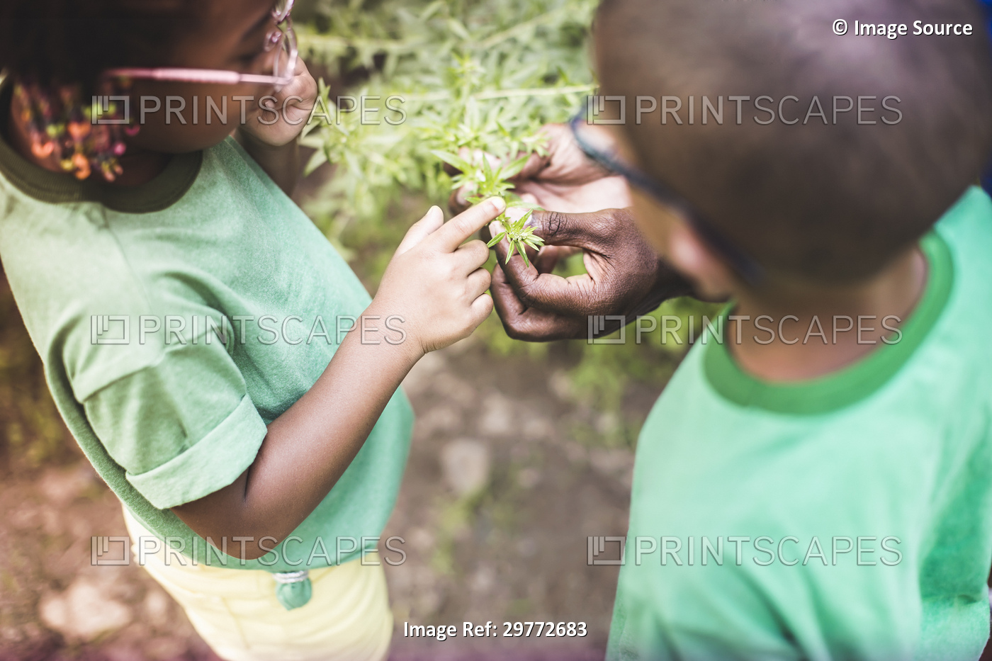 Fathers hands holding plants for son and daughter at forest eco camp