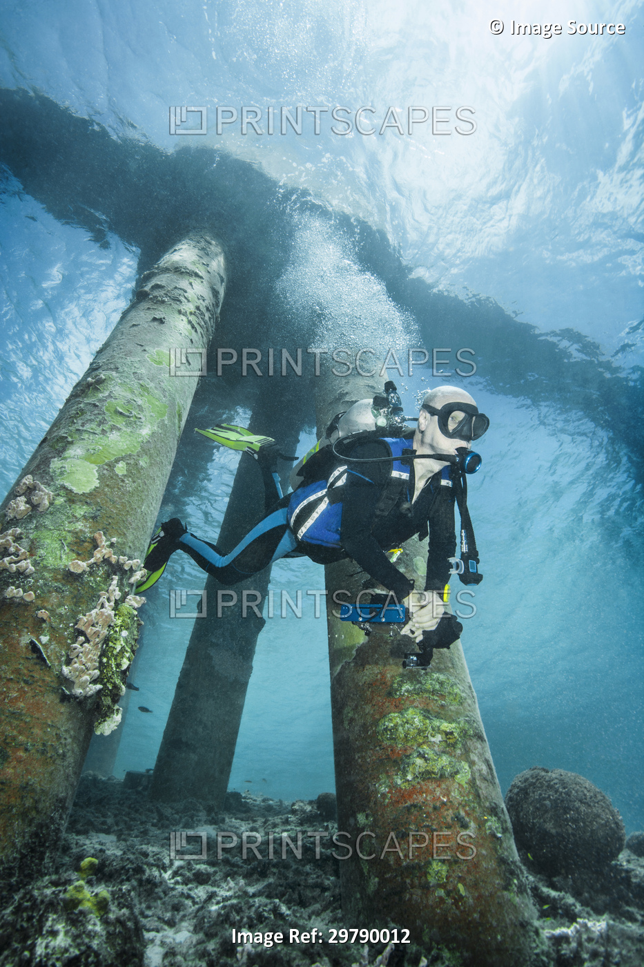Diver examining underwater shipwreck