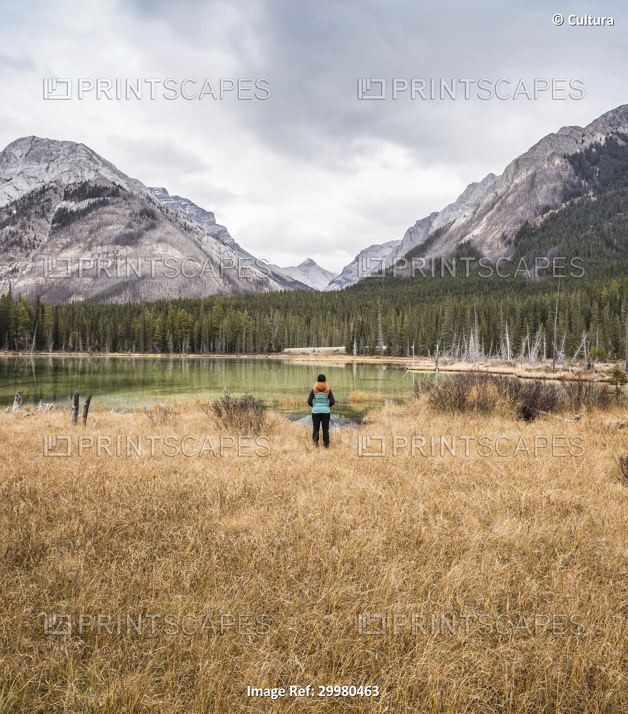 Woman standing, looking at view, rear view, Kananaskis Country; Bow Valley ...