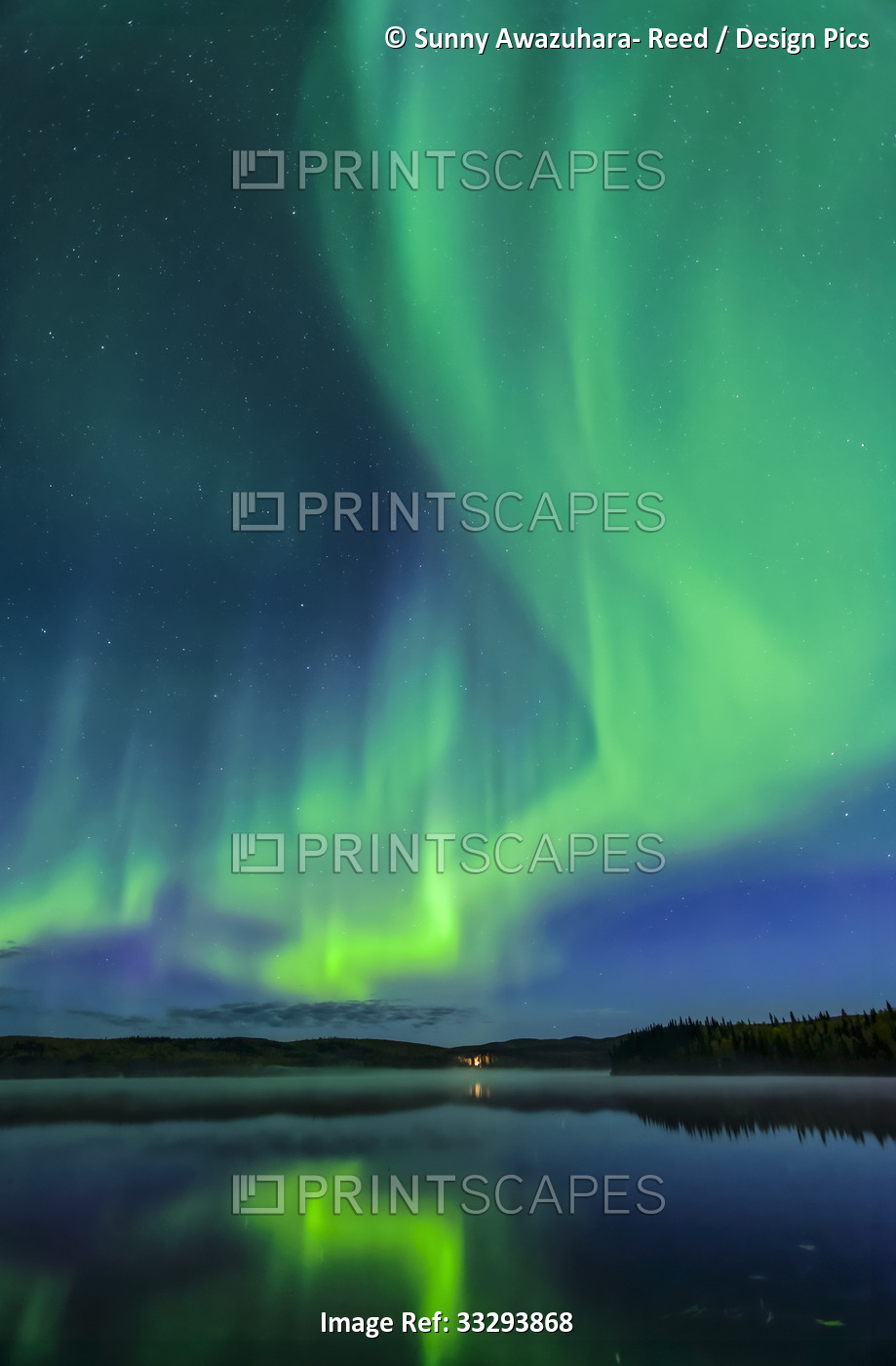 Bright green aurora dancing like fire over Birch Lake with reflections, ...