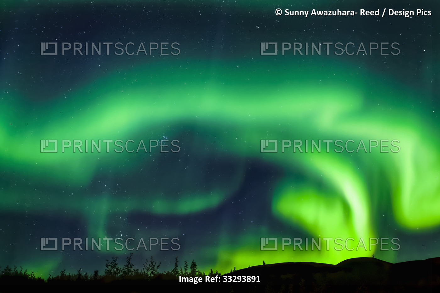 Intense aurora waving over Mount Fairplay, Taylor Highway, Interior Alaska in ...