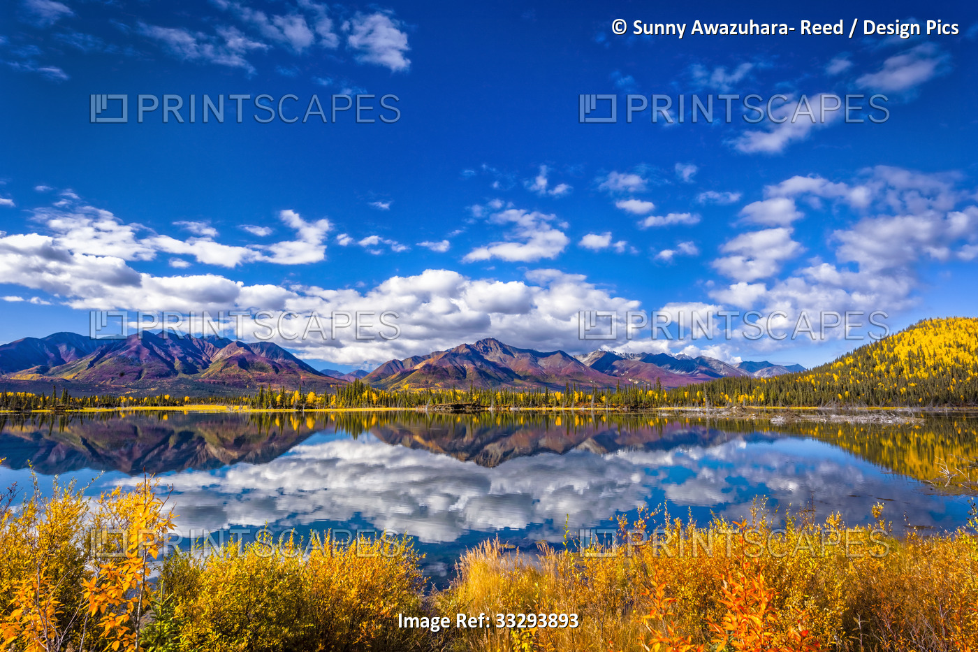 Mountain range reflects on Mentasta Lake with fall coloured foliage under blue ...