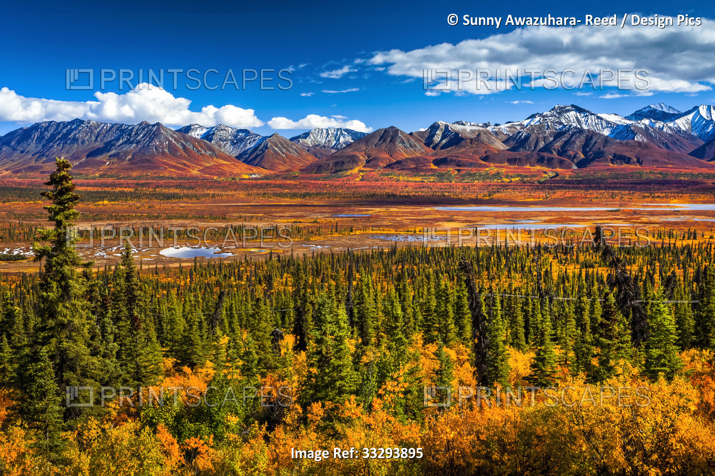 Snow dusted Chugach Mountains in vivid fall colours, South-central Alaska in ...