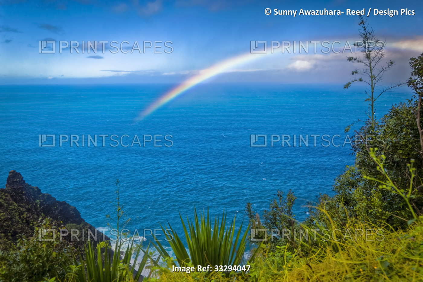 Rainbow over Na Pali Coast with tropical green foliage in the foreground. ...