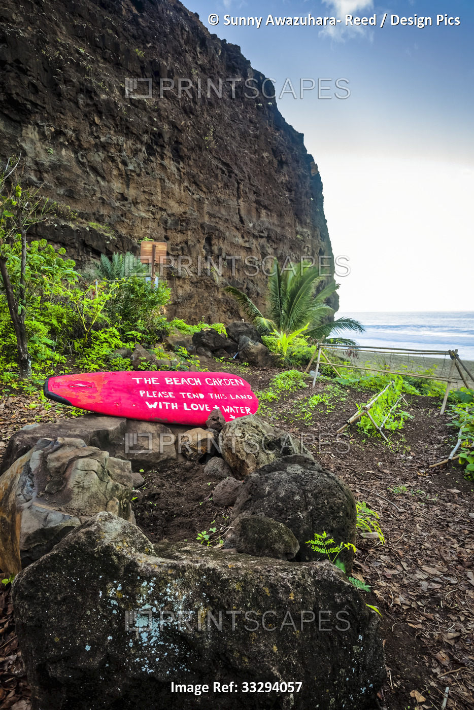 Community garden at Kalalau Beach, cliff and ocean are in the background, Na ...