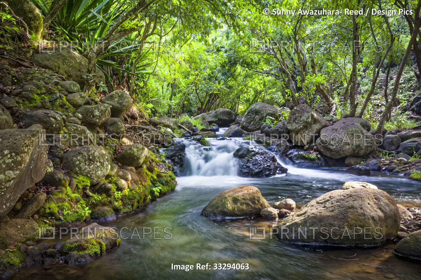 Kalalau Stream cascades down in tropical rainforest, Kalalau Valley, Na Pali ...