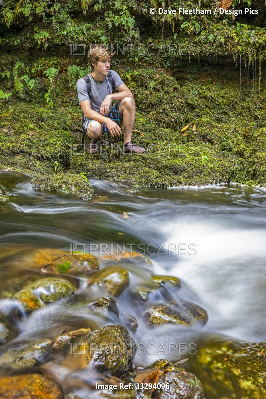 A young man crouches next to a small stream running through a forest in ...