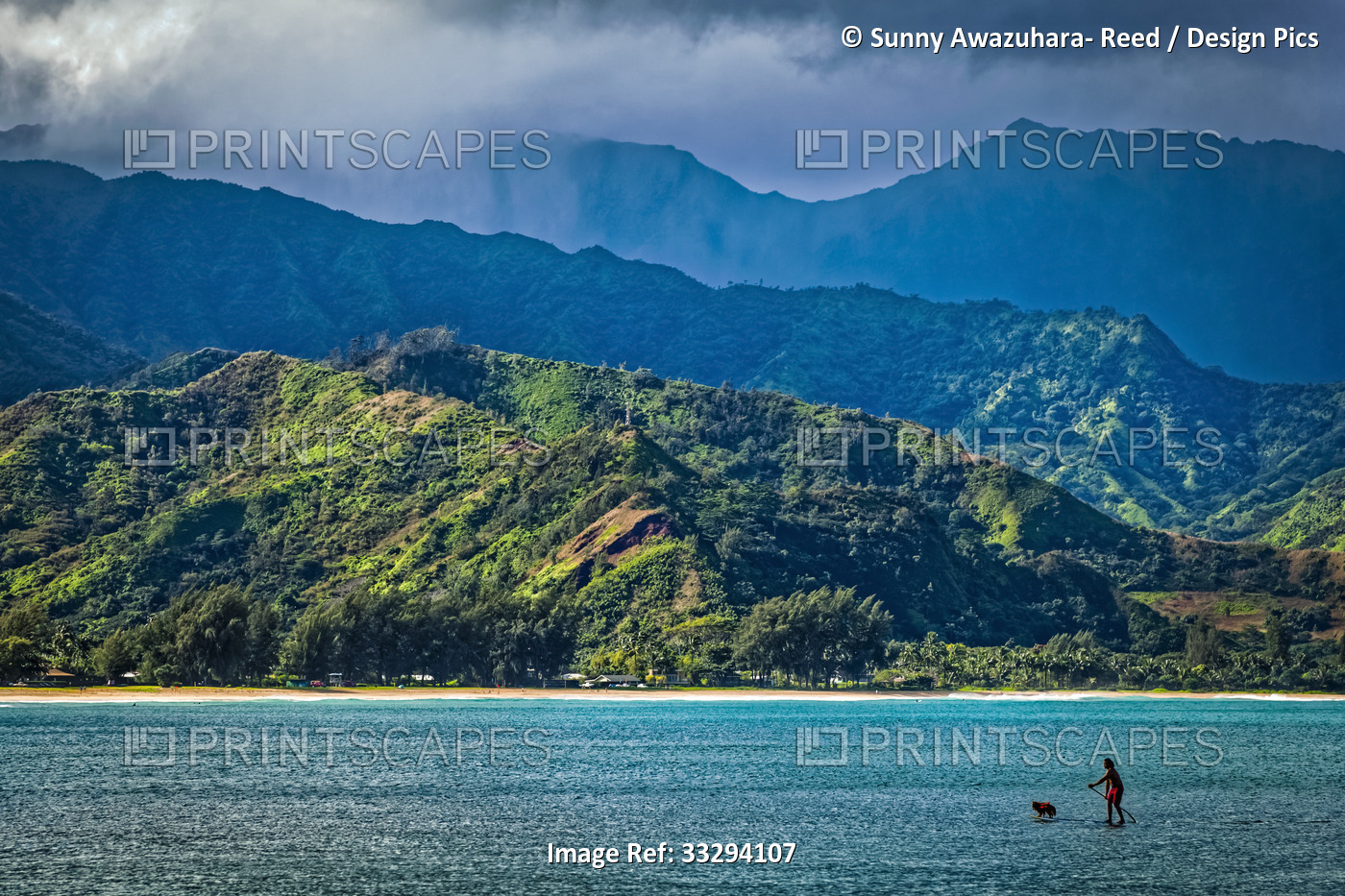 A man and his dog on a stand up paddle board in Hanalei Bay with mountains in ...