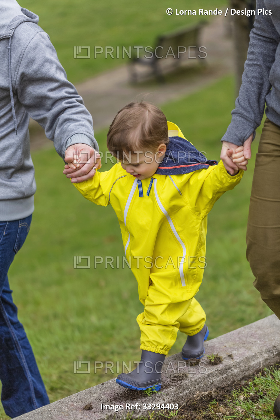 Close-up of mother and father holding hands with young daughter as she walks ...