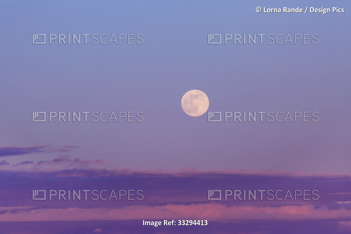 Full moon in a purple sky at dusk with a layer of clouds on the horizon; ...