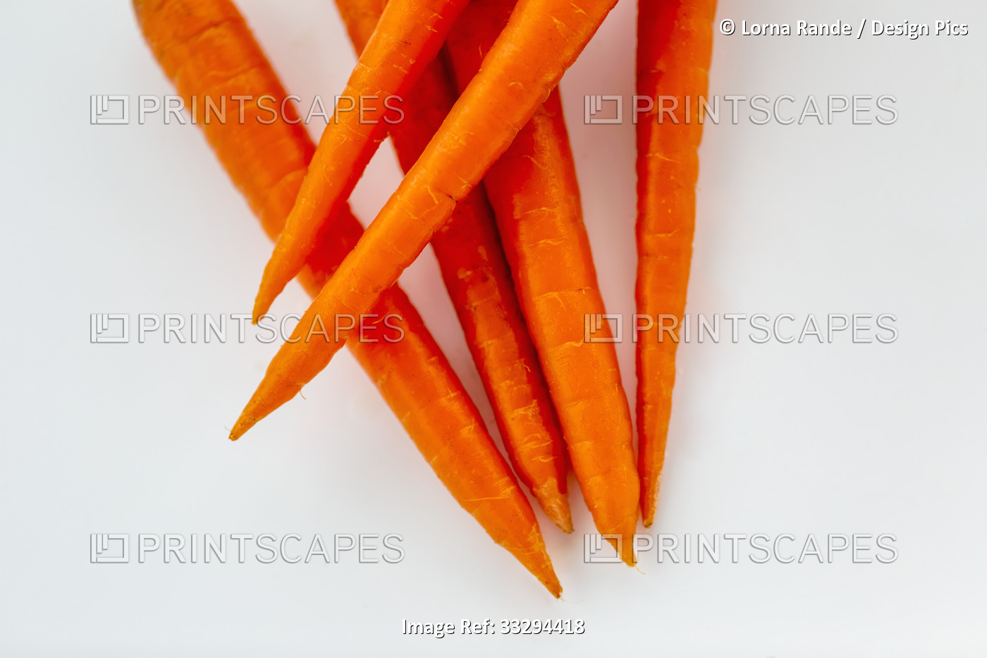 Close-up of the tips of a group of carrots on a white background; Surrey, ...