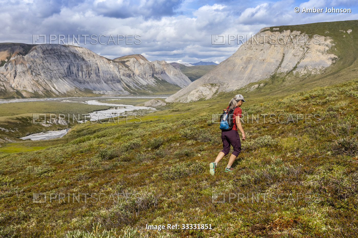 Caucasian woman in her 50's hiking in the Brooks Range on the tundra, with a ...